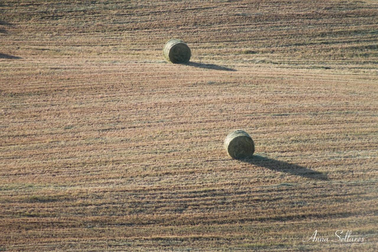 San Quirico dʼOrcia Soleluna מראה חיצוני תמונה